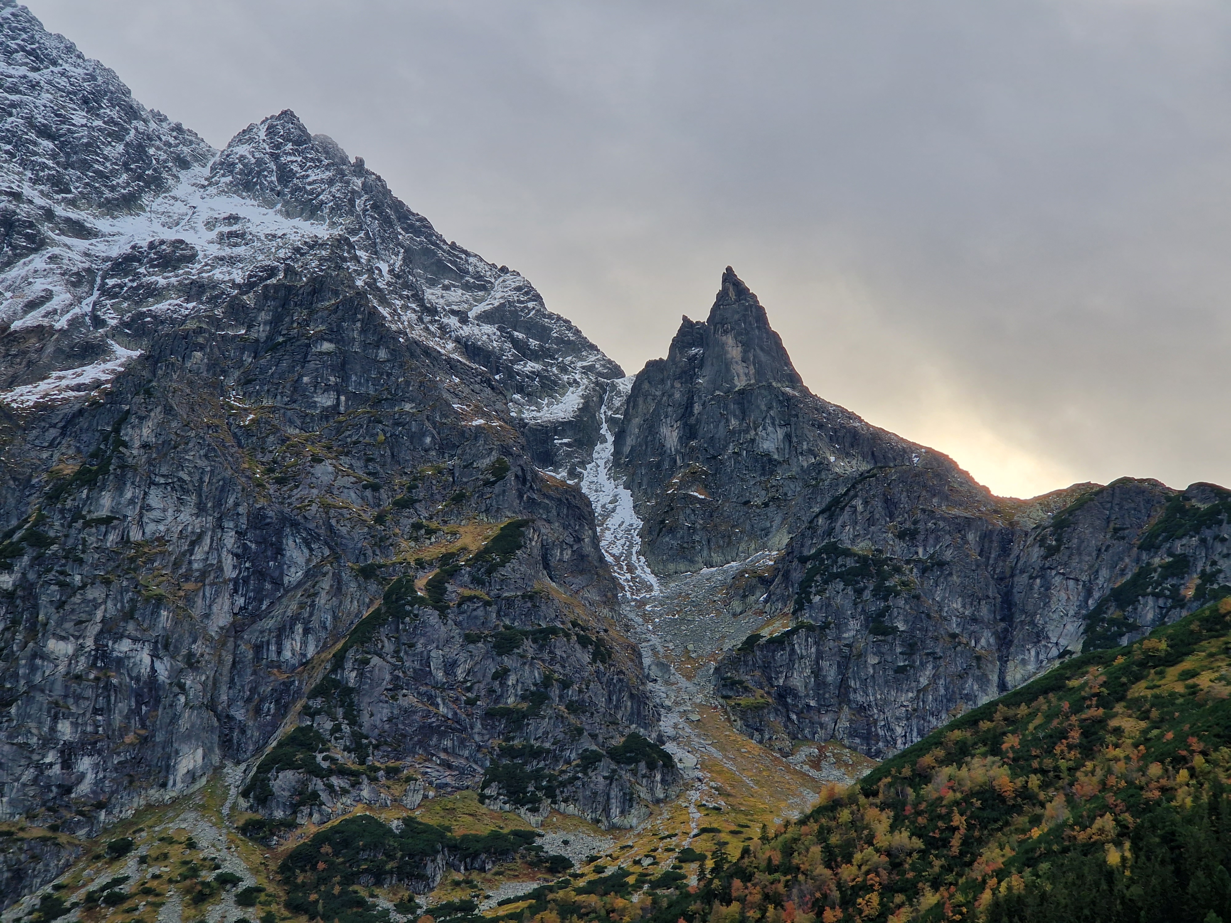 Alpine Scenery